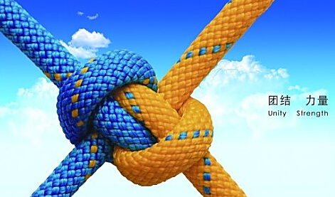 約會春天，放飛心情